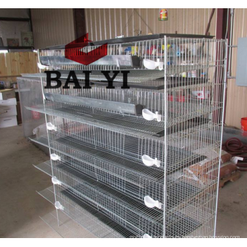 Sistema de agua automático Quails Barreding Cages